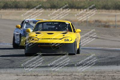 media/Oct-21-2023-Speed Ventures (Sat) [[ddf75163c5]]/Green/Grapvine/